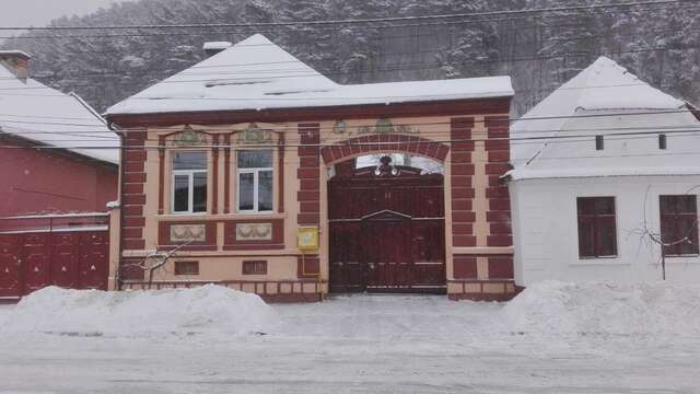 Гостевой дом Casa de oaspeți 